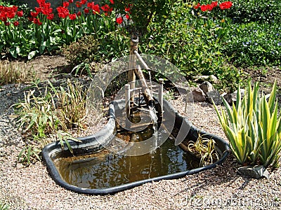 Little water pond in botanical garden Stock Photo