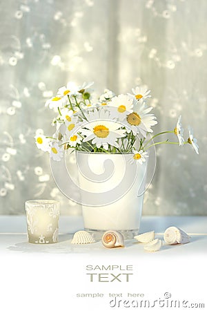 Little white daisies and seashells Stock Photo