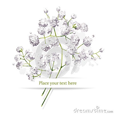 Little white flowers bouquet Vector Illustration