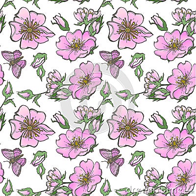 Little wild dog rose seamless background flowers with buds pattern boho style Vector Illustration