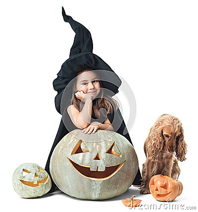 Little witch wondered with a dog Stock Photo