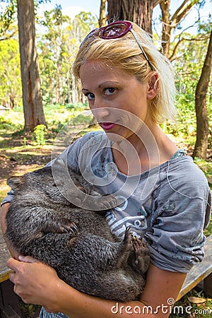 Little Wombat Holding Stock Photo