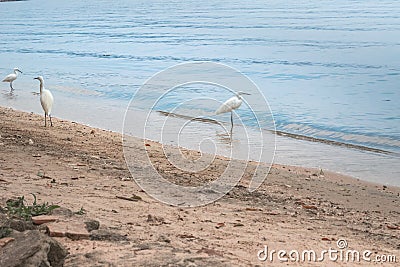 Little wooden manikin looking out towards Lake Victoria from the golden sandy shore line, Entebbe, Uganda Stock Photo