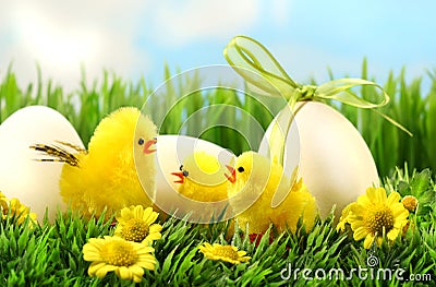 Little yellow easter chicks in the tall grass Stock Photo