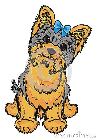 Little yorkie sit Stock Photo