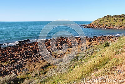 littoral - penneshaw - kangaroo island - australia Stock Photo