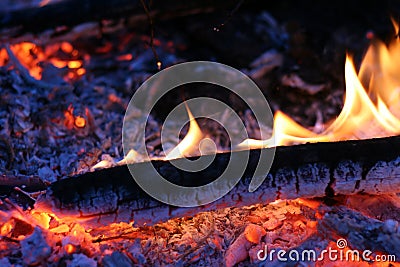 Live coal burning Stock Photo