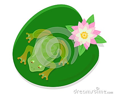 a live frog sits on a water lily on a pond. Vector Illustration