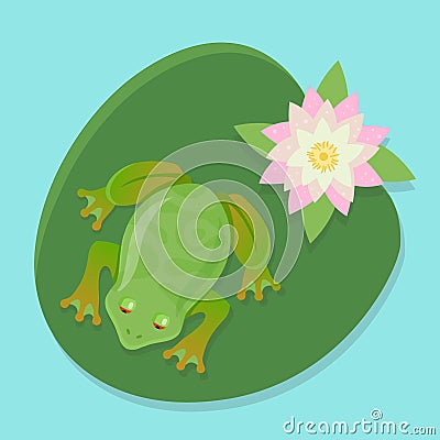 Live frog sits on a water lily on a pond. Vector Illustration