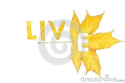 Live. Letters carved from wedge leaves Stock Photo