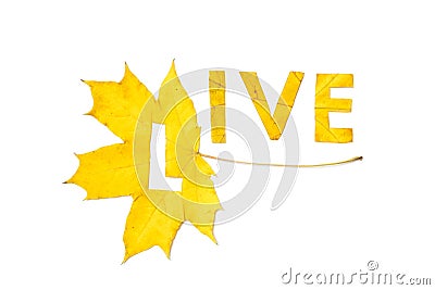 Live. Letters carved from wedge leaves Stock Photo