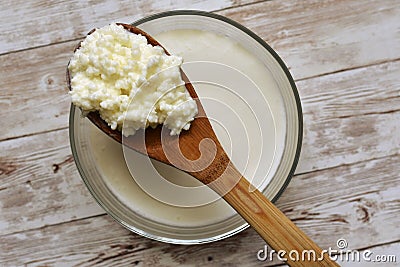 Healthy fermented food concept, probiotic. Stock Photo