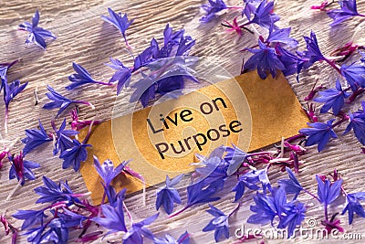 Live on Purpose Stock Photo