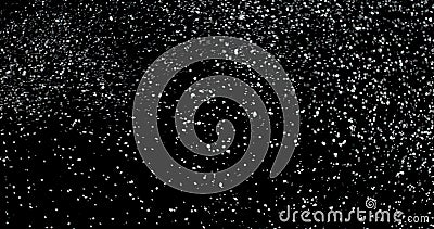 Live Snow On Black Background Stock Photo