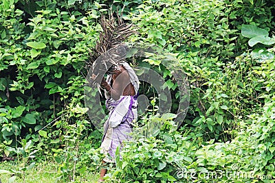 Livelihood of an aged woman Stock Photo