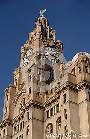 The Liver Building Stock Photo