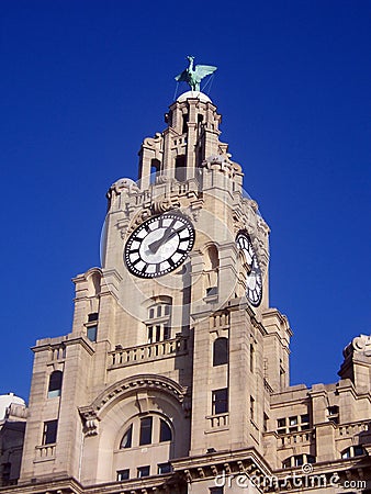 Liver building clock tower Stock Photo