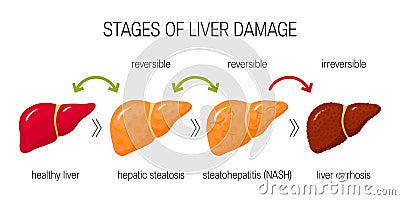 Liver damage vector concept Cartoon Illustration