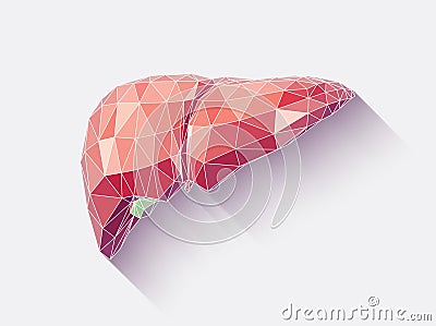 Liver faceted Vector Illustration