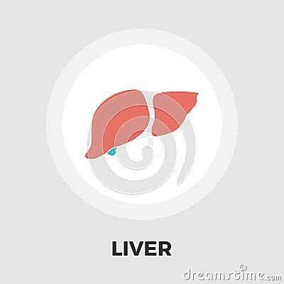 Liver flat icon Vector Illustration