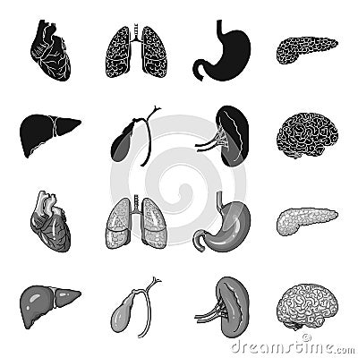 Liver, gallbladder, kidney, brain. Human organs set collection icons in black,monochrome style vector symbol stock Vector Illustration