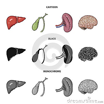 Liver, gallbladder, kidney, brain. Human organs set collection icons in cartoon,black,monochrome style vector symbol Vector Illustration