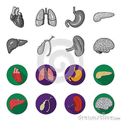 Liver, gallbladder, kidney, brain. Human organs set collection icons in monochrome,flat style vector symbol stock Vector Illustration