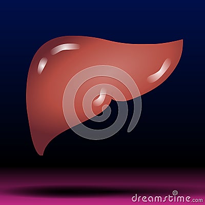 Liver - Healthcare - Science - Medical Treatment - Organ - The liver is an organ about the size of a football. Stock Photo