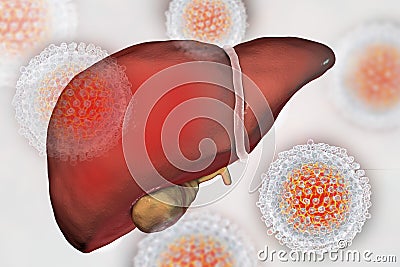 Liver with Hepatitis C infection and close-up view of Hepatitis C Virus Cartoon Illustration