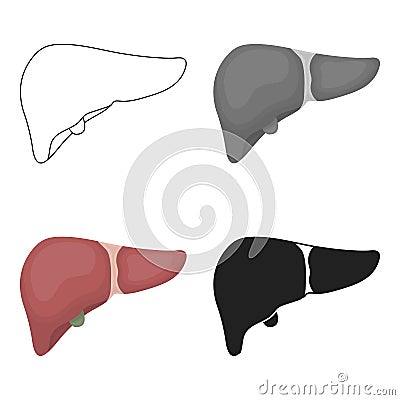 Liver icon in cartoon style isolated on white background. Organs symbol stock vector illustration. Vector Illustration