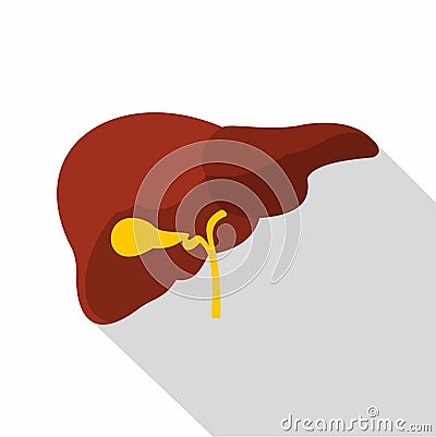 Liver icon, flat style Vector Illustration