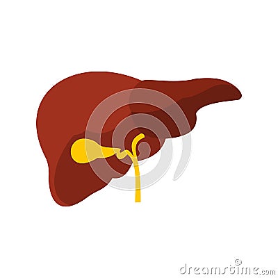 Liver icon, flat style Vector Illustration