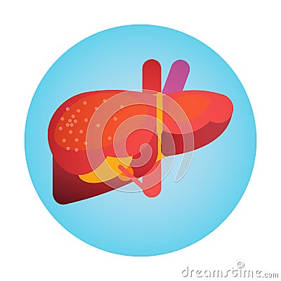 Liver Icon Health World Day Global Holiday Banner Vector Illustration