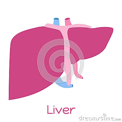 Liver illustration in flat style. Viscera icon, internal organs. Cartoon Illustration