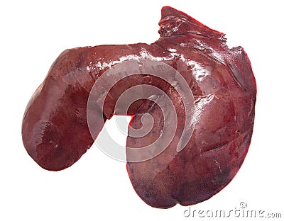 Liver pig Stock Photo