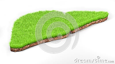 Liver shape made of green grass and piece of soil land. Liver concept. 3d illustration. Cartoon Illustration