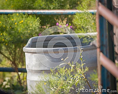 Livestock tank Stock Photo