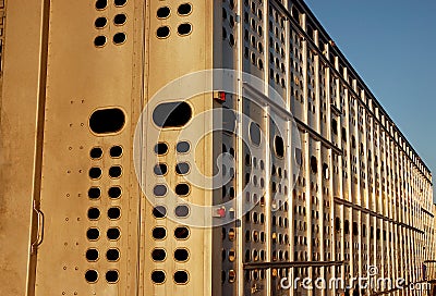 Livestock Truck Trailer Stock Photo