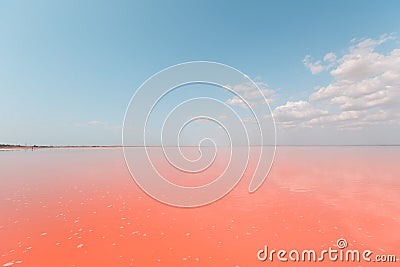 Living coral lake. Color of the year 2019. Stock Photo