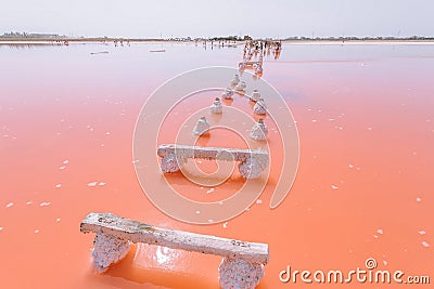 Living coral lake stairs. Color of the year 2019. Stock Photo