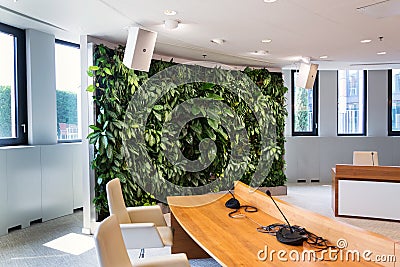 Living green wall, vertical garden indoors with flowers and plants under artificial lighting in meeting boardroom Stock Photo