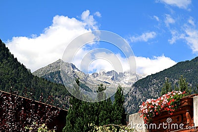 Living in the mountains of Dolomiti di Brenta Stock Photo