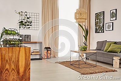 Living room with comfortable sofa Stock Photo