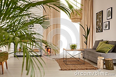 Living room with decorative palm Stock Photo
