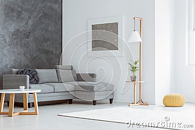 Living room with gray accent Stock Photo