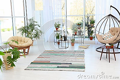 Living room interior with indoor plants, swing and papasan chairs Stock Photo