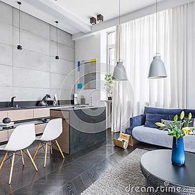 Elegant living room and kitchen combo Stock Photo