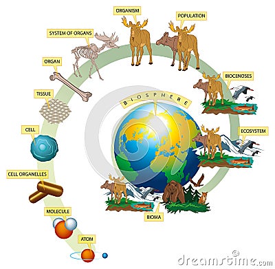 Living world Vector Illustration