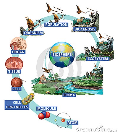 Living world-biosphere Vector Illustration