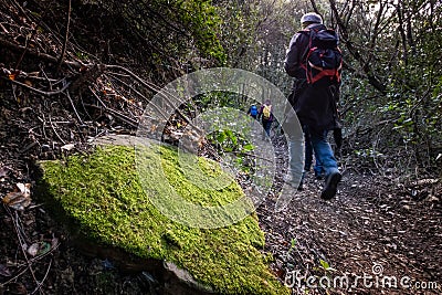 Livorno Rosignano trekking, Tuscany - Italy Editorial Stock Photo